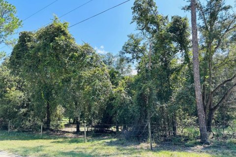 Terreno en venta en Chiefland, Florida № 1898895 - foto 3