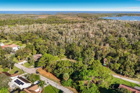 Land in Hudson, Florida № 2403703 - photo 17