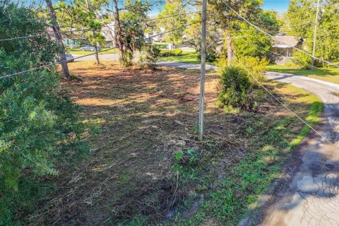 Land in Hudson, Florida № 2403703 - photo 14