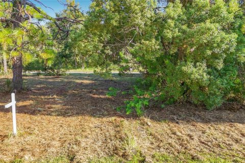 Land in Hudson, Florida № 2403703 - photo 13