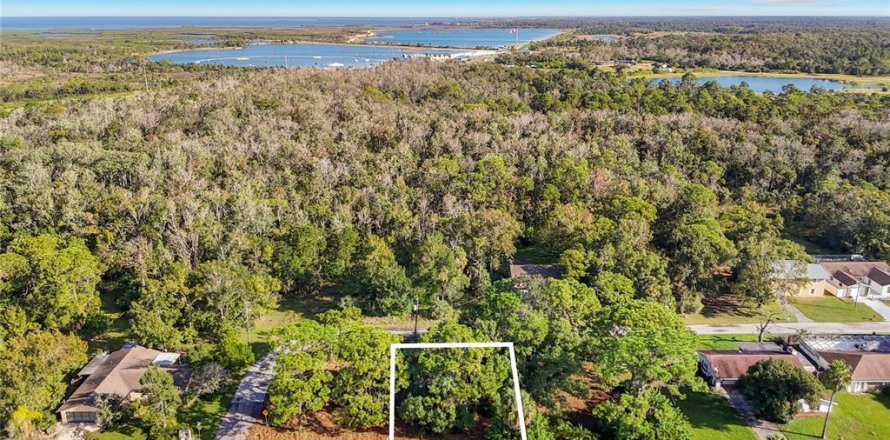 Land in Hudson, Florida № 2403703
