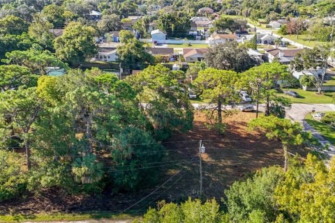 Land in Hudson, Florida № 2403703 - photo 23