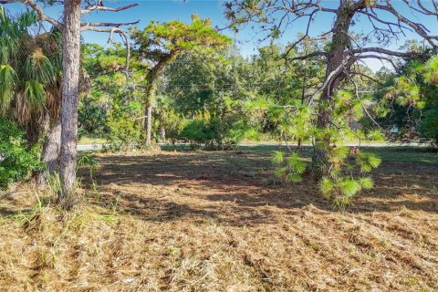 Land in Hudson, Florida № 2403703 - photo 10