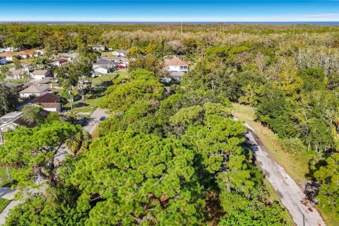 Land in Hudson, Florida № 2403703 - photo 12