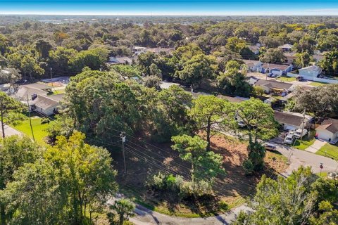Land in Hudson, Florida № 2403703 - photo 26