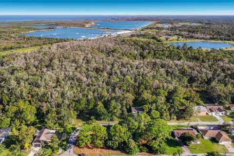 Land in Hudson, Florida № 2403703 - photo 16