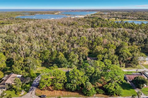 Land in Hudson, Florida № 2403703 - photo 18