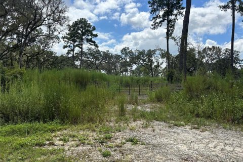 Terrain à vendre à Ocala, Floride № 1901688 - photo 2