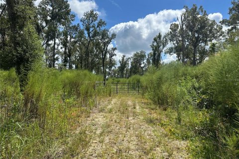 Terrain à vendre à Ocala, Floride № 1901688 - photo 5