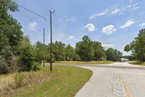 Land in Ocala, Florida № 2160462 - photo 3