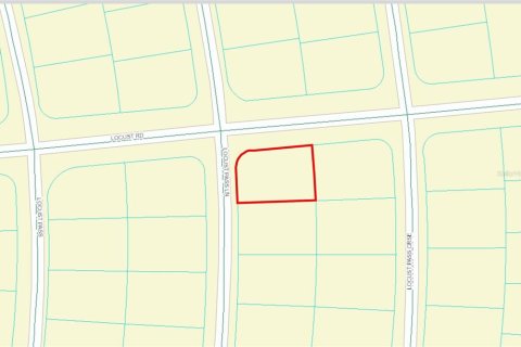 Land in Ocala, Florida № 2160462 - photo 4
