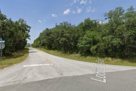 Land in Ocala, Florida № 2160462 - photo 2
