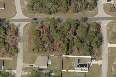 Land in Ocala, Florida № 2160462 - photo 8