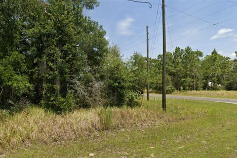 Land in Ocala, Florida № 2160462