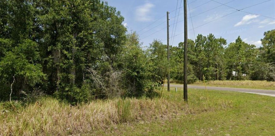 Land in Ocala, Florida № 2160462