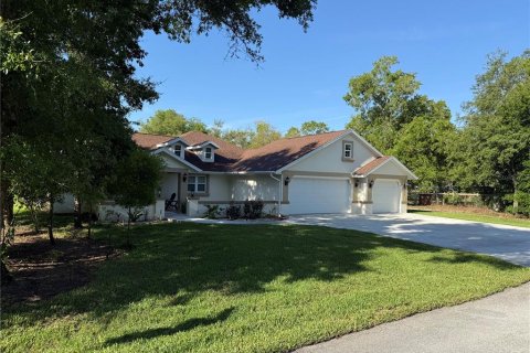 Land in Summerfield, Florida № 1771815 - photo 9