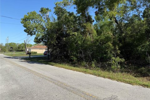 Land in Summerfield, Florida № 1771815 - photo 6
