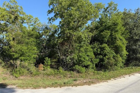 Land in Summerfield, Florida № 1771815 - photo 2