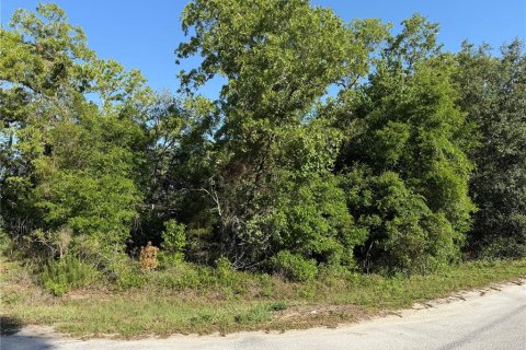 Land in Summerfield, Florida № 1771815 - photo 1