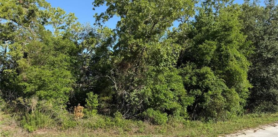 Land in Summerfield, Florida № 1771815