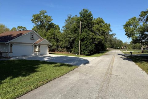 Land in Summerfield, Florida № 1771815 - photo 8