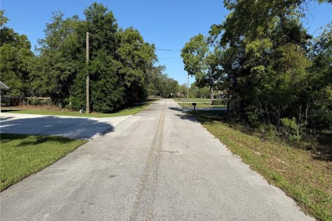 Land in Summerfield, Florida № 1771815 - photo 7