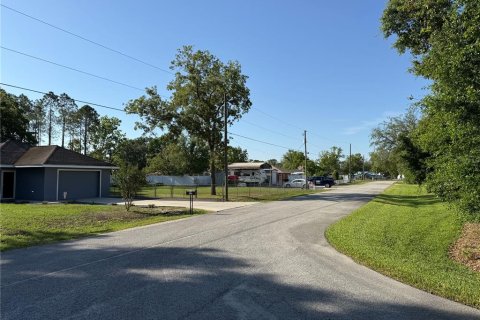 Land in Summerfield, Florida № 1771815 - photo 10
