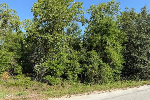Land in Summerfield, Florida № 1771815 - photo 3