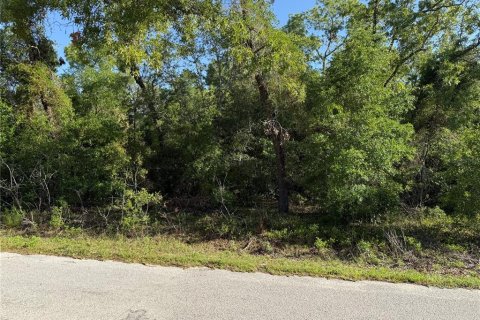 Land in Summerfield, Florida № 1771815 - photo 5