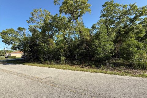 Land in Summerfield, Florida № 1771815 - photo 4