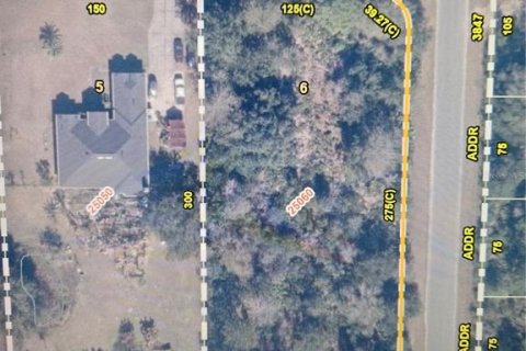 Land in Orlando, Florida № 2394287 - photo 3