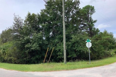 Land in Orlando, Florida № 2394287