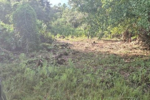 Land in Orlando, Florida № 2394287 - photo 5