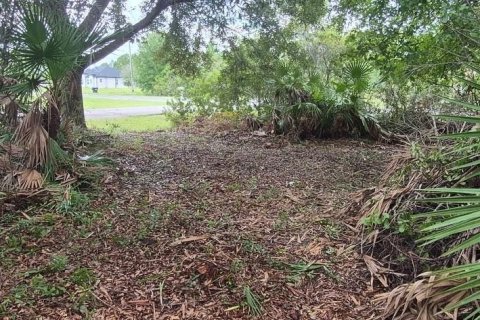 Land in Orlando, Florida № 2394287 - photo 6