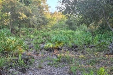 Land in Orlando, Florida № 2394287 - photo 4