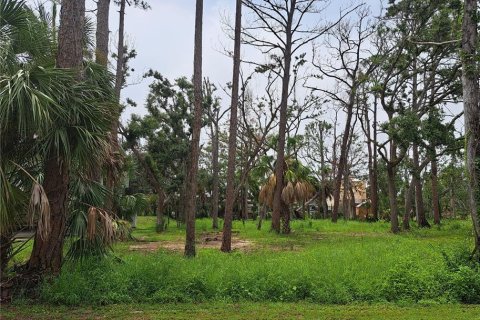 Land in Steinhatchee, Florida № 1858118 - photo 1