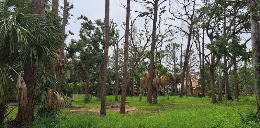 Land in Steinhatchee, Florida № 1858118