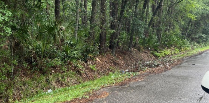 Land in Jacksonville, Florida № 818162