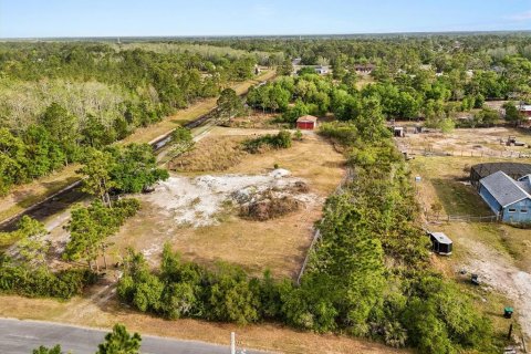 Land in Orlando, Florida № 1613054 - photo 4