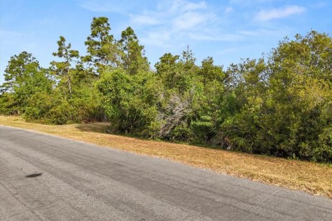 Land in Orlando, Florida № 1613054 - photo 3