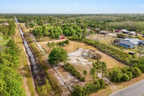 Land in Orlando, Florida № 1613054 - photo 6