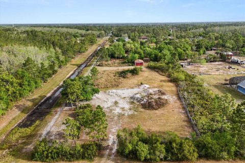 Land in Orlando, Florida № 1613054 - photo 5