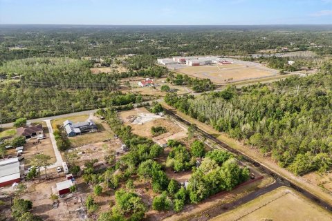 Land in Orlando, Florida № 1613054 - photo 9