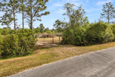 Land in Orlando, Florida № 1613054 - photo 2