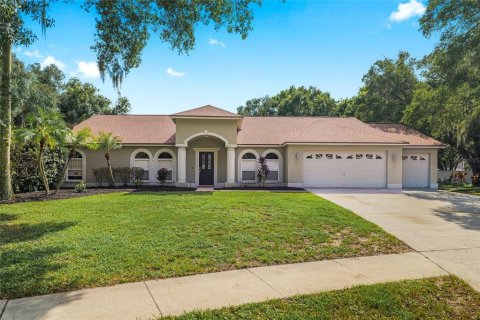 Villa ou maison à Valrico, Floride 4 chambres, 249.63 m2 № 2396070