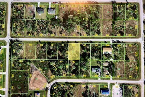 Land in Punta Gorda, Florida № 2223922 - photo 2