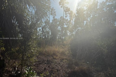 Land in Lehigh Acres, Florida № 2039233 - photo 4