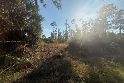 Land in Lehigh Acres, Florida № 2039233 - photo 5