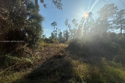Land in Lehigh Acres, Florida № 2039233 - photo 2