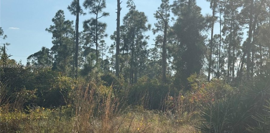 Land in Lehigh Acres, Florida № 2039233
